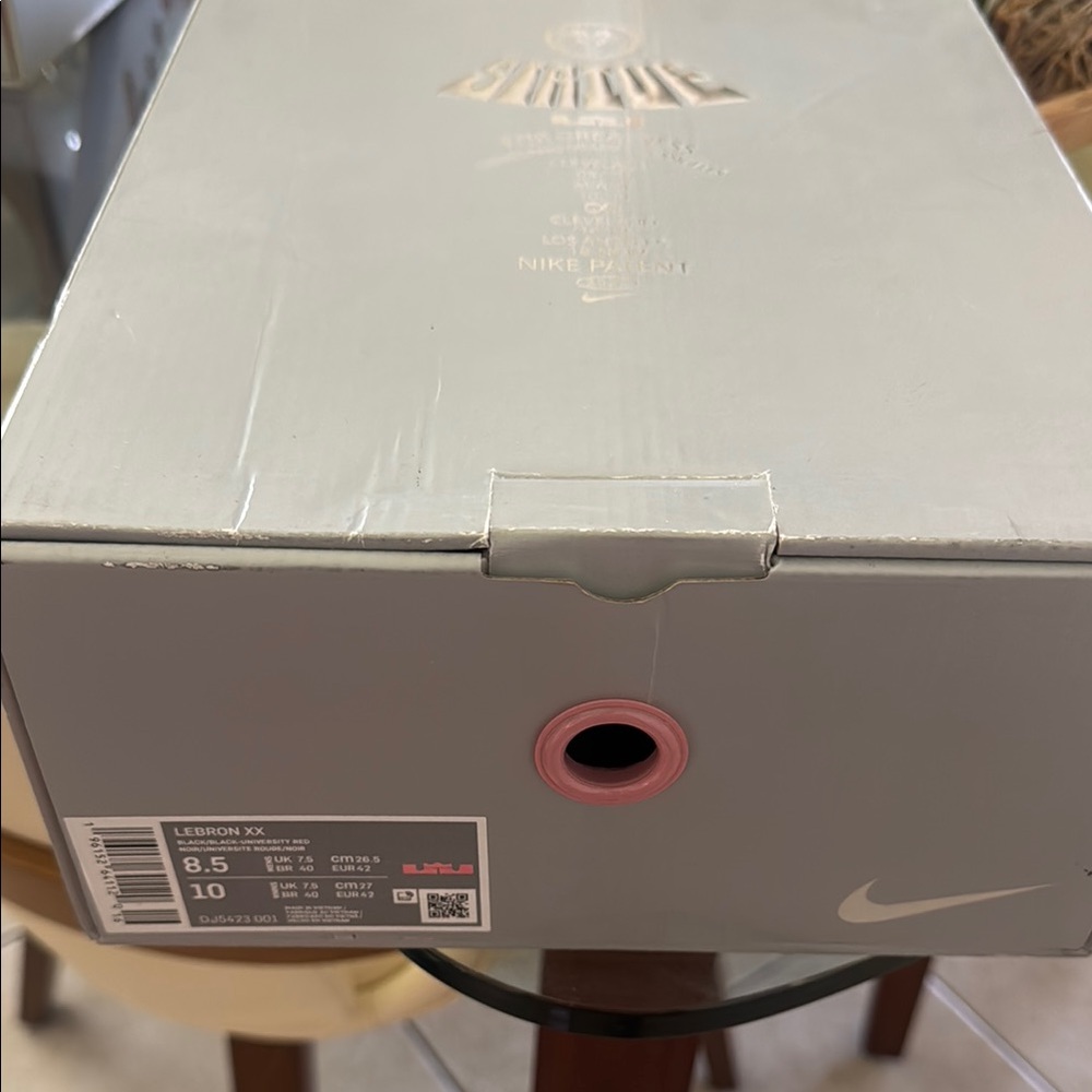 Nike LeBron XX Gray and Pink Box
